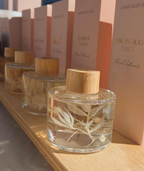 Floral Diffuser: Watermelon Crush
